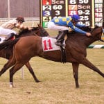 Eighttofasttocatch guns for 10th career stakes victory
