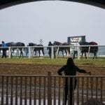 Jock Mychel Sanchez suspended, taken off mounts