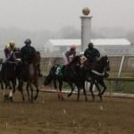 Delaware horsemen will hold stallion season auction
