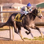 Claimbox: Busier week leads to significant changes in top 7