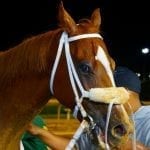 Parx changes draw generally positive response
