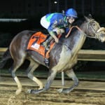 Eighttofasttocatch and Joint Custody strike a blow for Maryland-breds