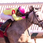 Gracer posts popular Marshua win at Laurel Park