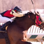 Locals take two Media Eclipse Awards
