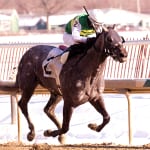 Germaniac posts solid upset of Whiteley Stakes