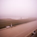 New Jersey breeders to conduct stallion season auction