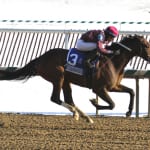 Winning Image back on the winning track in What a Summer