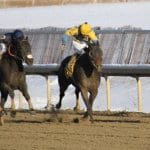 Geralis and Dilodovico: Friendly rivals