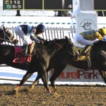 Claimbox: Mid-Atlantic claiming leaders through September 30