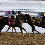 NTRA Top Thoroughbred Polls: Dude and Chrome, redux