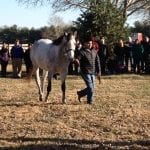 On Tap: Stakes story lines
