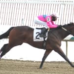 Penn National fights off weather to enjoy solid January