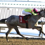 Jed Doro to be Delaware Park racing secretary