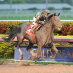 Thoroughbred Alliance Show Series awards to be presented January 11