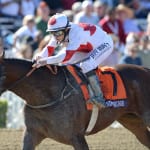 RaceBrief: Handle and other matters