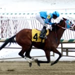 Maryland Thoroughbred Hall of Famers: Cigar
