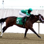 In-form Bold Curlin sweeps to Native Dancer victory