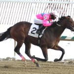 Winning Image back on the winning track in What a Summer