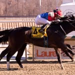 Gabby Gaudet’s longshots and exotic plays for February 22