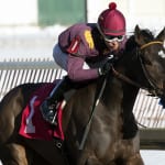 Virginia Thoroughbred Association aims for its best stallion season auction