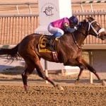 Gabby Gaudet’s longshots and exotic plays for March 8