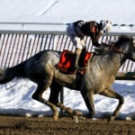 Top Midlantic-bred Polls: The Big Beast makes a big move