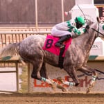 Trevor McCarthy gets an unplanned break, from the stewards