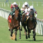 Anna’s Bandit, Perez wave goodbye to Timonium Distaff rivals