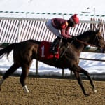 Zayats to scratch Asmussen-trained horses in wake of PETA accusations