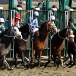 Ben’s Cat earns third Md.-bred Horse of the Year title