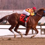 Women handicappers finding their way – just not on Horseplayers