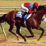 Behind the numbers: Trainers