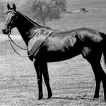 LookBack: RaceBrief for March 14