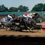 Maryland Thoroughbred Hall of Famers: Cigar