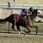 Breeders’ Cup runners headline Penn Oaks