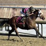 Filly Ria Antonia added to Preakness contenders