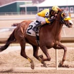 Ground Transport takes the short way home to Harrison Johnson win