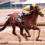 Gabby Gaudet’s longshots and exotic plays for March 22
