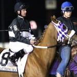 Control Stake looks to take Robert Hilton Memorial