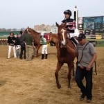 Lion DNA posts Skipat Stakes upset