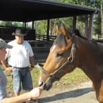 Colonial Downs set once again to burn turf course