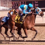 Advice for racing: Go to college