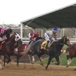 Pennsylvania-bred champions announced