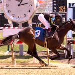 Joe Piarulli, trained Vertex, passes away