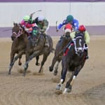 Fasig-Tipton 2yo sale by the numbers