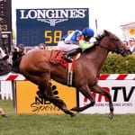 Defending champ Flattering Bea headlines Sugar Maple