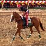 Preakness Profiles: Dynamic Impact