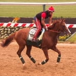 Page McKenney tale is personal for breeders