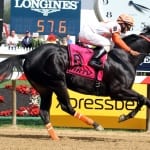 “Finding your horse” key to Pimlico stakes wins
