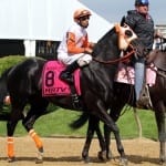 Fasig-Tipton to move mixed sale to ’16